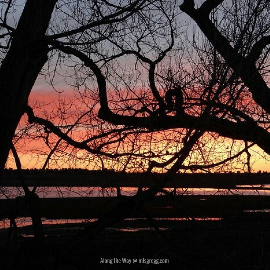 along-the-way-mlsgregg-com