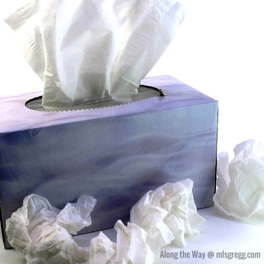 Along the Way @ mlsgregg.com