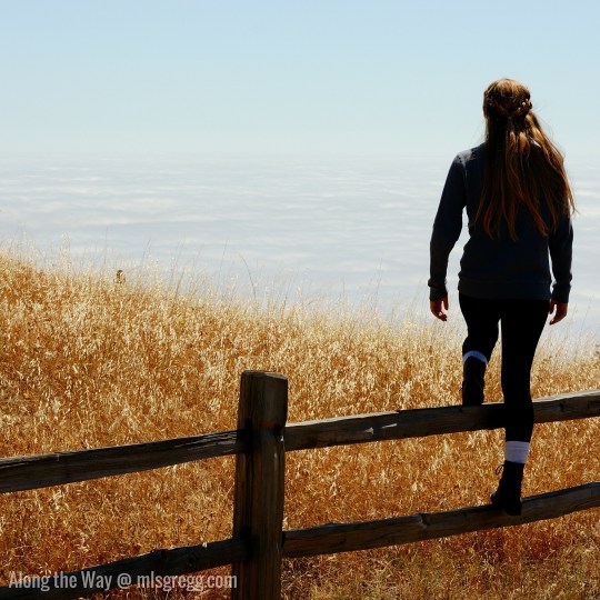 Along the Way @ mlsgregg.com (1)