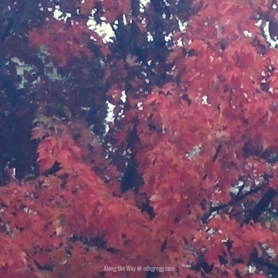 along-the-way-mlsgregg-com