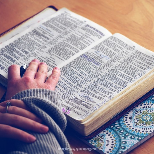 Along the Way @ mlsgregg.com (2)