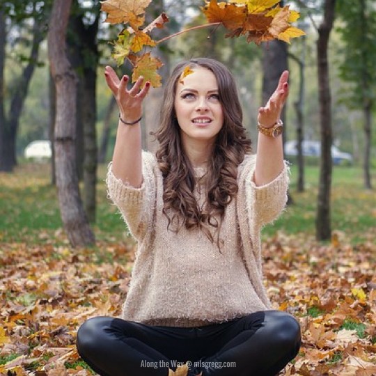 Along the Way @ mlsgregg.com