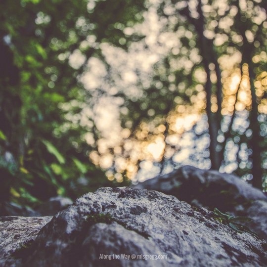 Along the Way @ mlsgregg.com